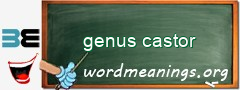 WordMeaning blackboard for genus castor